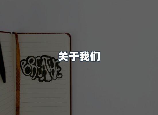 专业团队